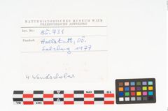 Foto von Keramikgefäß (NHMW-PRAE-085731)